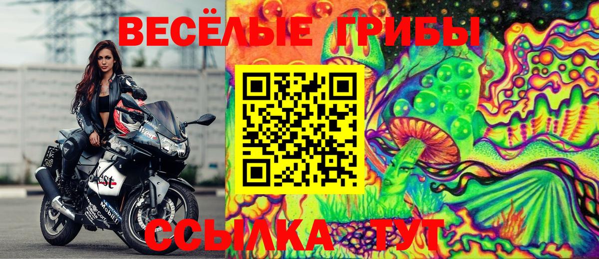 Псилоцибиновые грибы Psilocybine cubensis  Вход с VPN  Воркута 